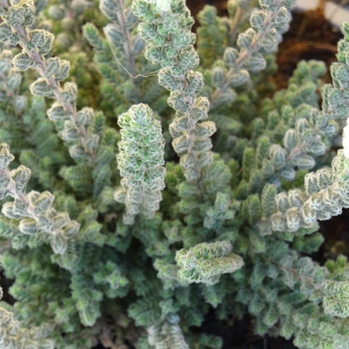 11e45942-c20e-48b0-b5bc-179822b00a41