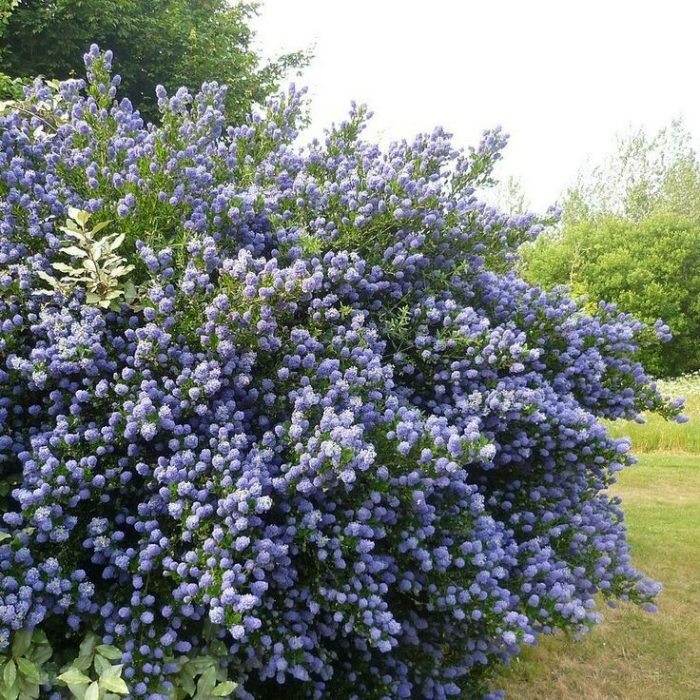 b5583a38aeed2b5515bc2d36dd1cae8e.jpg 5022f4f5-8ff1-4683-9de1-5628aa9f213c