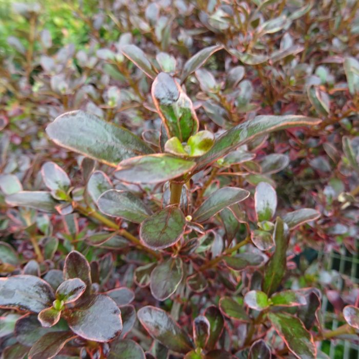 f95bea37-4af7-43b3-835b-fc51d6444d48