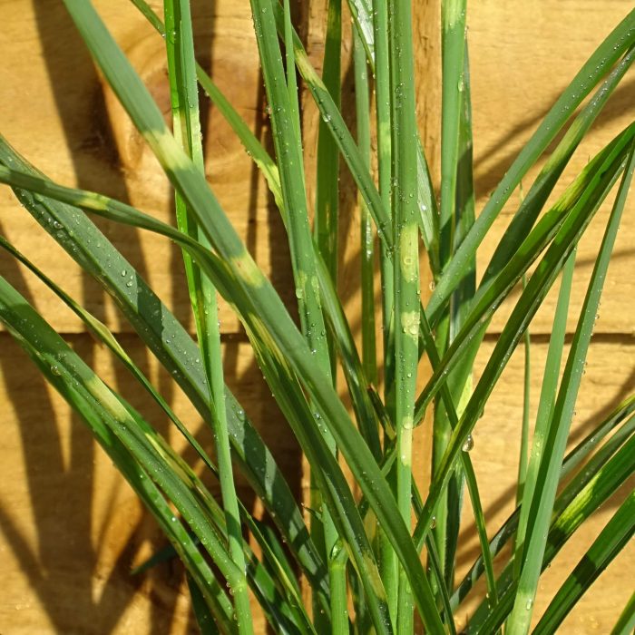 af4e4663-b887-430a-a3e0-edb598160192