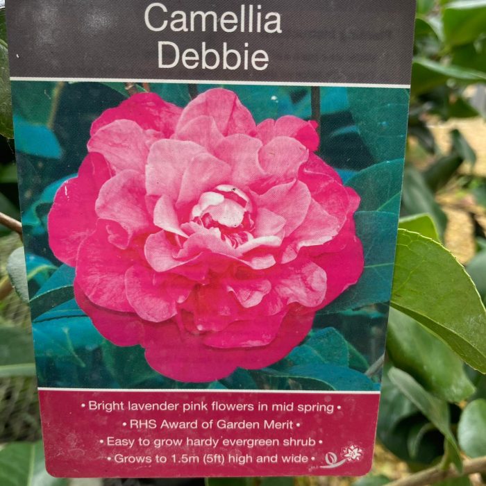 fbac4ab0-7bc7-47e7-846f-8fd6836400cf