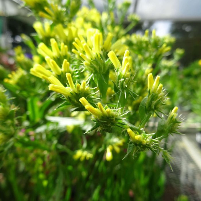 d6633925-519a-4f51-b855-549eadecd92d