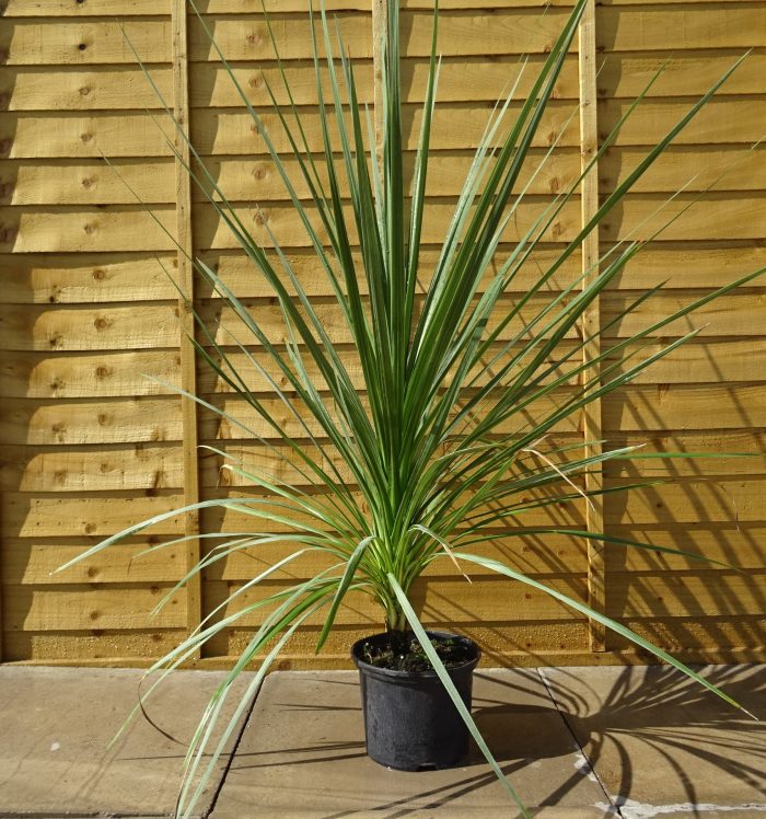 8e1f404d-4c31-4295-b742-38ced3fd458d