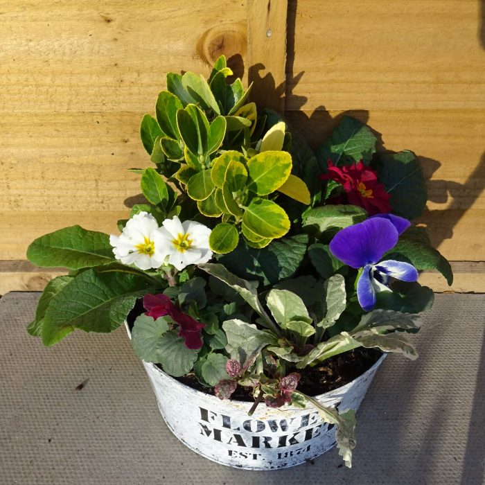 7ba5c08a-2907-4eb4-9c0f-96b8c5844188