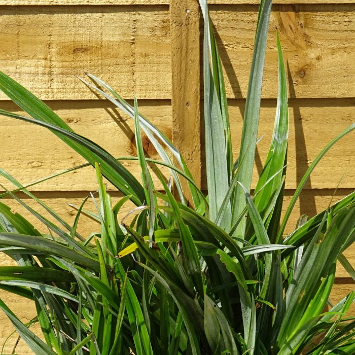 ae1a3b34-f9b4-441f-9f30-9f9cdd6939ed