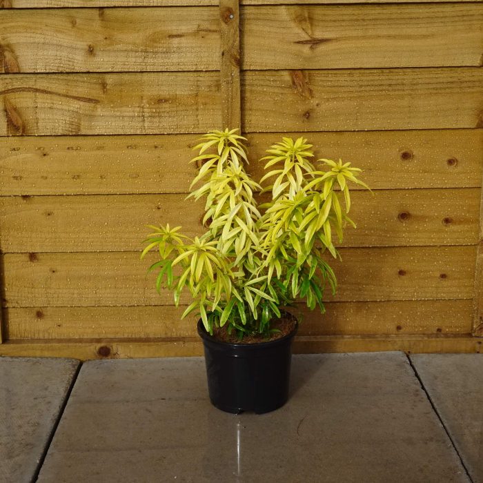 b86cff37666ec6bb7008dc236d3011bb.jpg ca05d049-3d98-476e-b628-6db5e87d70ca