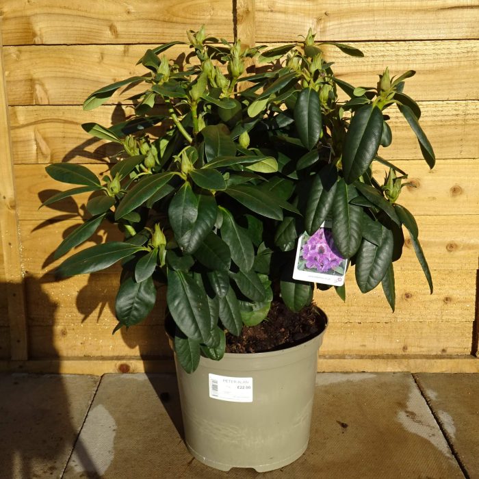 52e32f7d-6df6-42a2-9f18-0520633a27ea