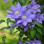 dbef02e4-7508-41d1-ba5f-0d380175ad65