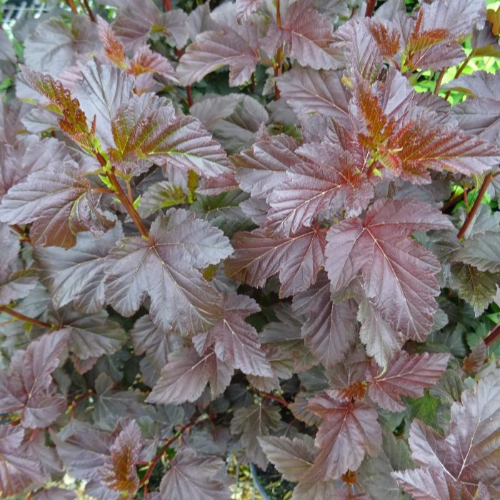 0dc1cb2f-3d46-40a0-a55f-206a0e5f3613