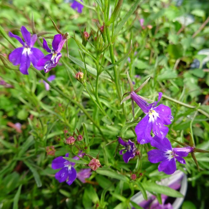 6f364eb1-e8e0-44f6-9bb4-d7a3902338e6