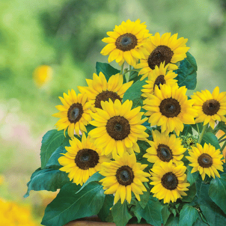 8412b4b3-6225-4fc3-8f88-e50551eb821c