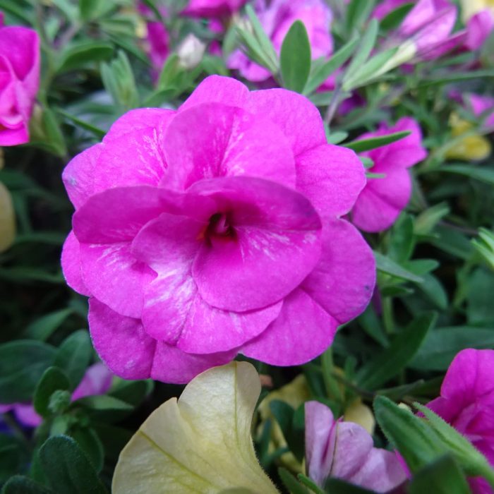 b9d4f1d343a669abff5cfe8b8fadf9f5.jpg 2c96c05c-c883-40d1-b2b6-87ebc8955c92