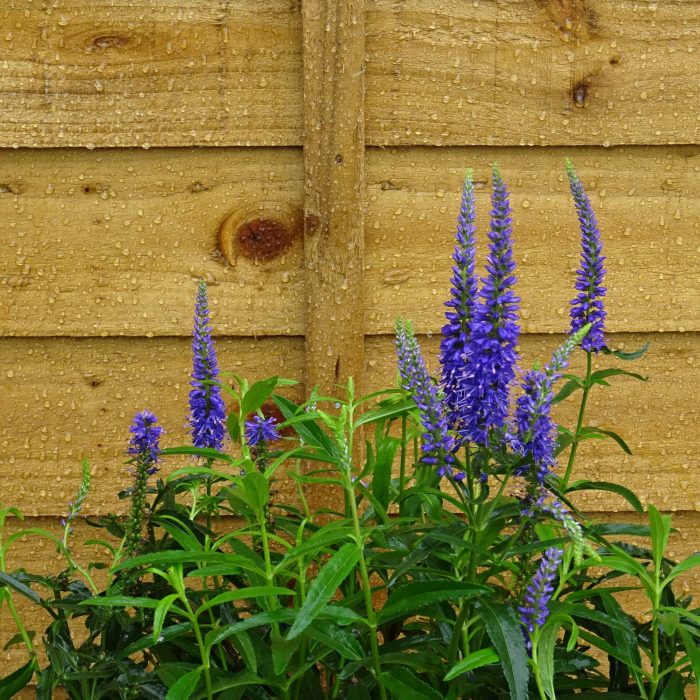 8dddfaec-7dc2-4eaa-8596-d8b1e7d2d044