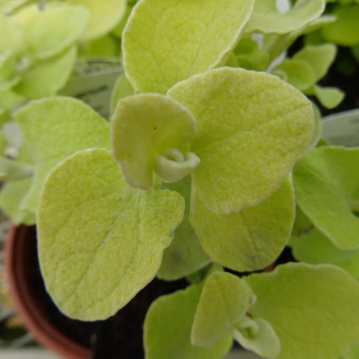 7cead343-e820-4f65-9b71-4d16aa349a42