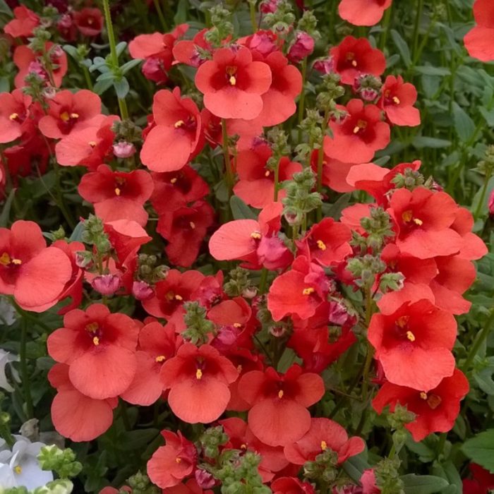 ba48b95023728e63bb1ca775e4b2eefc.jpeg f16b0ecd-de8a-4fd3-bfb2-d27550e68f12