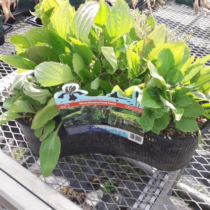 bf4ffd87-b761-4b26-b161-38923ff2ea4d