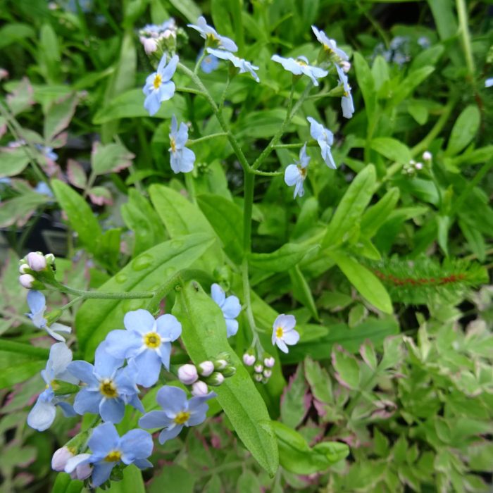 2ea88df8-068d-4b44-b4d9-1025aee6269b