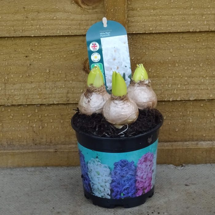 47e6ef20-b1c1-464a-9cf4-999fd61580fe