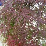 b20fa17d-f69a-47f0-9e2c-26ea87cbd432