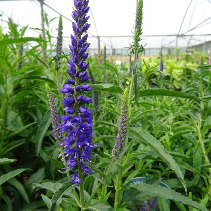 c327c1ef-8105-4a71-b07c-695a1a706c9c