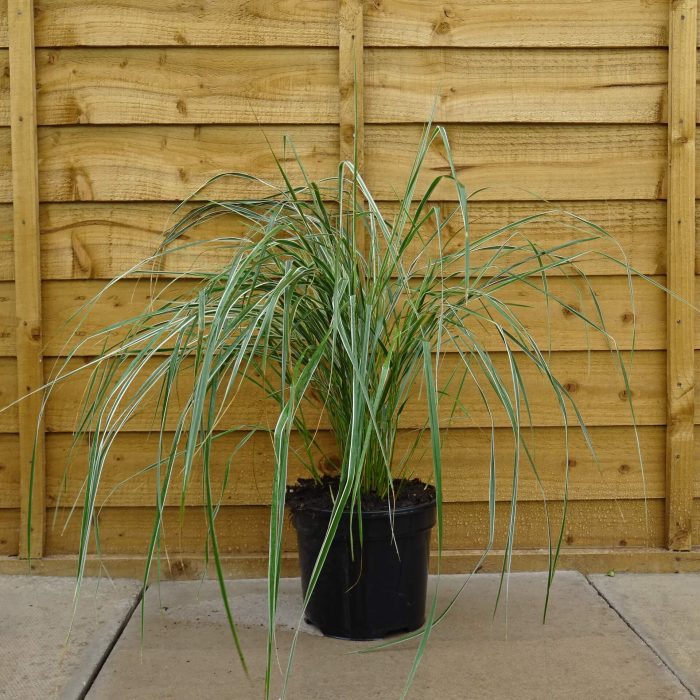 e1ac2844-d1b4-42e7-a84e-569de42d2d2f