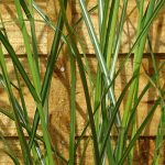 9c918704-146c-4591-9c4d-717f5865883b