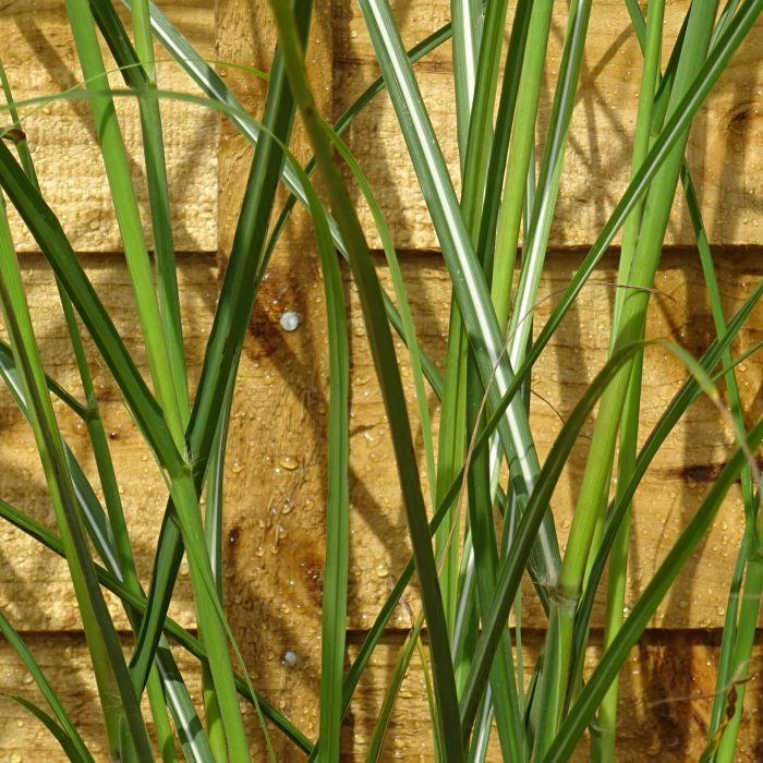 9c918704-146c-4591-9c4d-717f5865883b