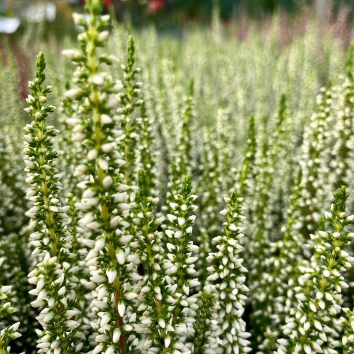 b5a67587-8669-4a34-b9ee-dd7e4b45817e