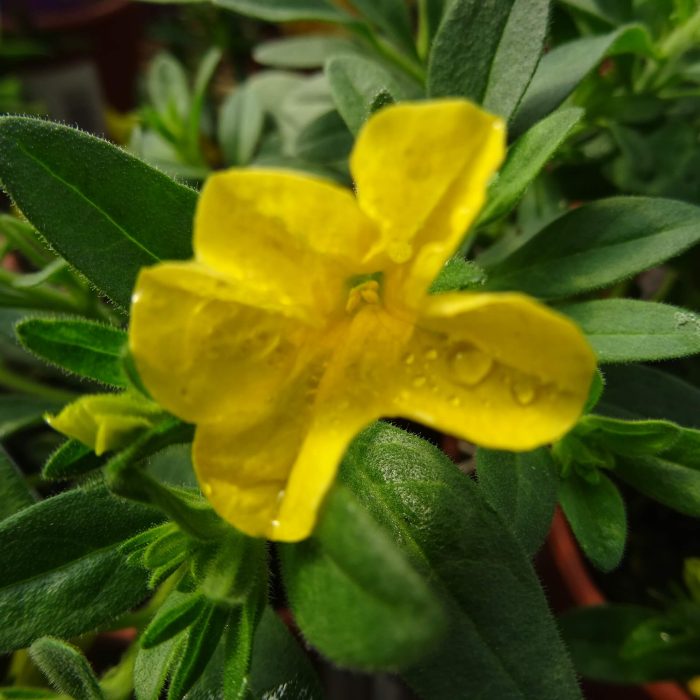 b58e7ecb-b427-47b9-bc03-8a644b68ff78