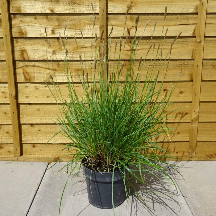 de441be0-7cb6-415d-9551-7b6262e20c62