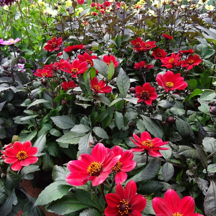 c053d5e5b68bc709644332f1f9f90b81.jpg 0593b028-8d54-4fea-8cef-49d094d38fc9