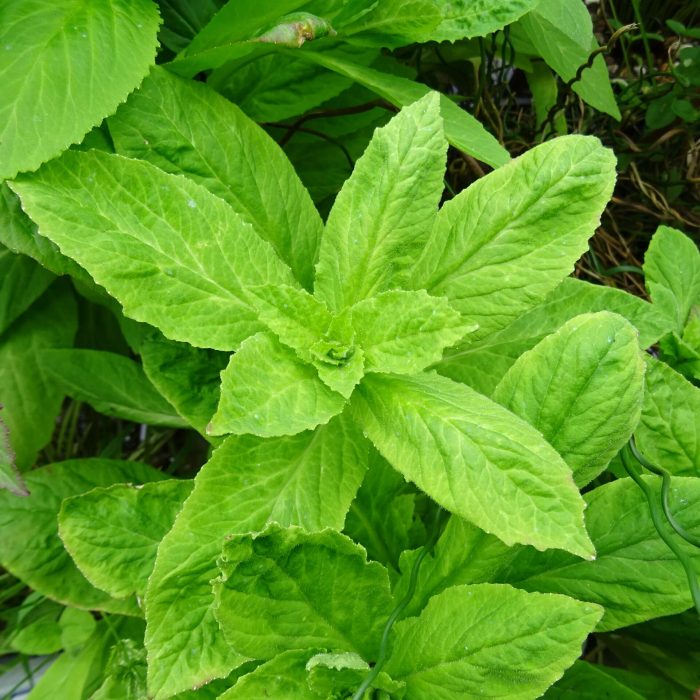 601f5d7b-3f0a-4070-bdef-b7eab29f6b5a