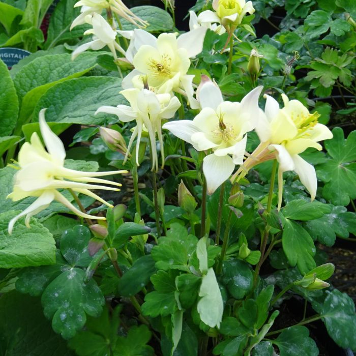 4b0c997e-02c0-463e-b6c9-dc8afec5735b