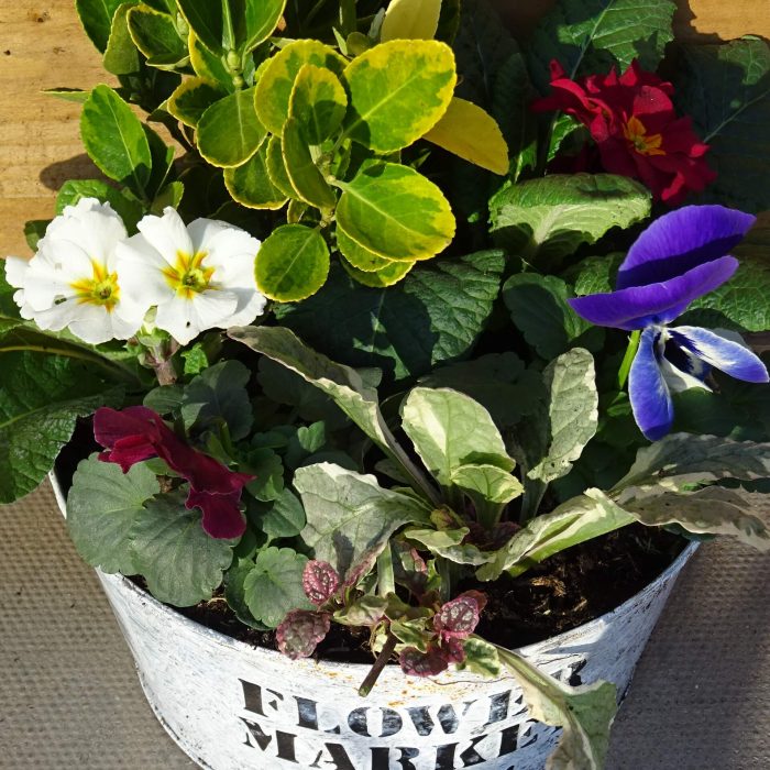 88fccc58-1005-4cf2-b83e-38198692bc94