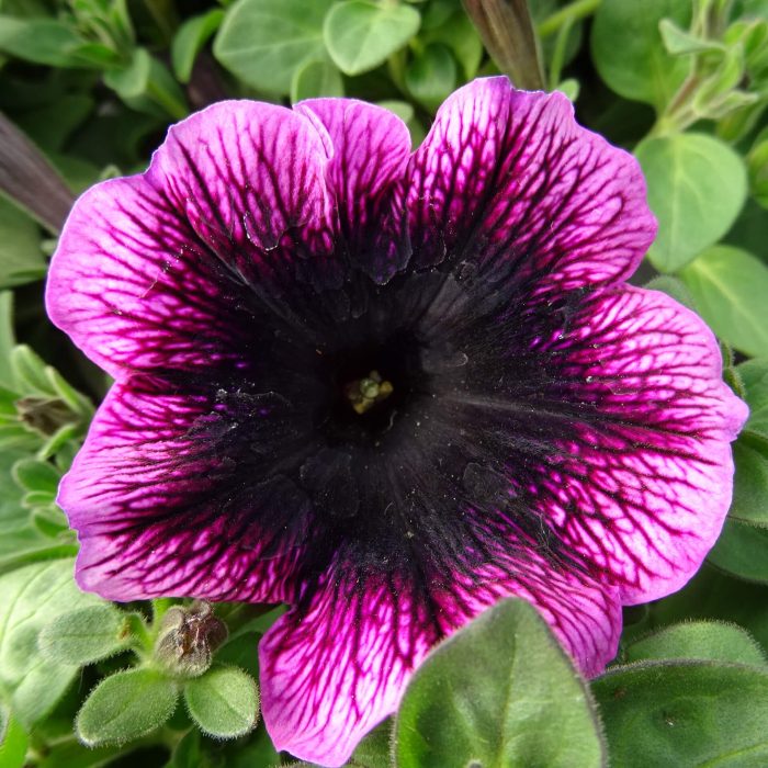 d5988350-d33a-440e-b766-2c03ed9ae8fe