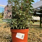 1710acd1-0074-475e-ab26-f41f32bab127