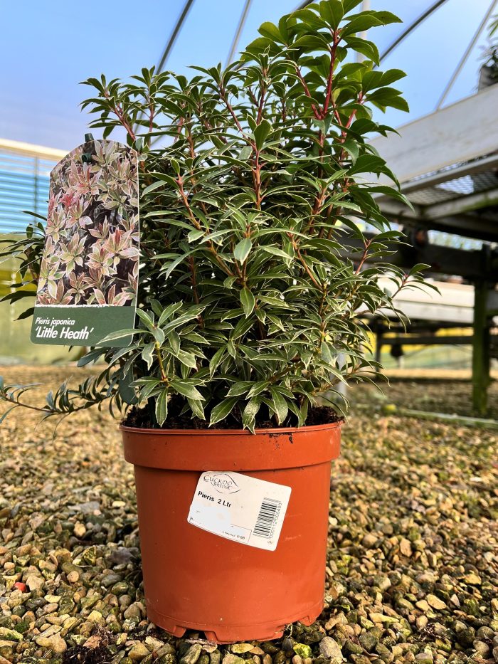 1710acd1-0074-475e-ab26-f41f32bab127