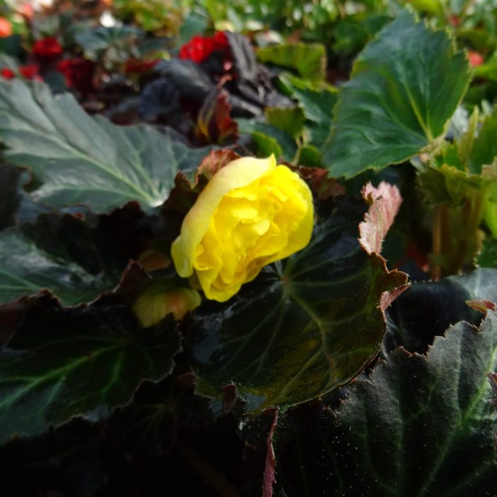 c39e925e-1adf-410f-adf7-e659897dd288