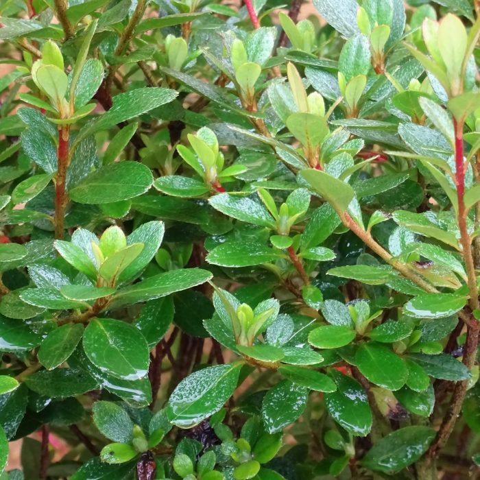 b6ad2380-ee92-4f2e-8abc-b042ce99bc7f