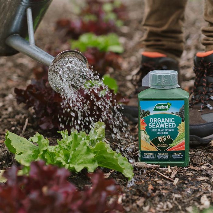 c20d136bbe1298c22692f11c2dd46f59.jpg 04b67fee-0fbf-4d6b-84a4-965d9573dbb1