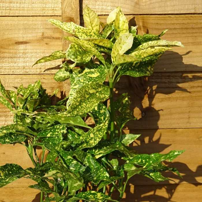 9740bec3-6e69-4f85-a811-9adc512de6c4