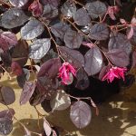 435a19ed-2be1-46d2-9710-dbccb65f8a26