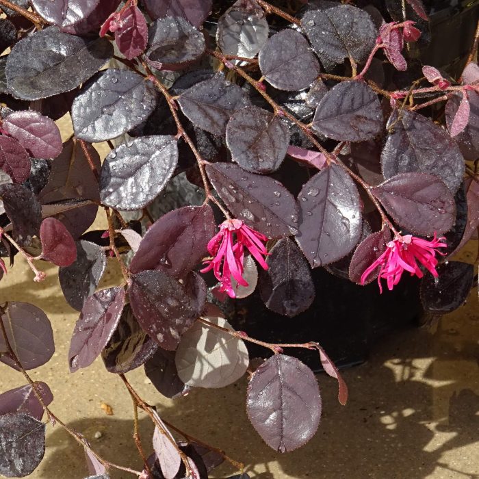 435a19ed-2be1-46d2-9710-dbccb65f8a26