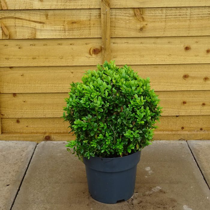 a6622829-ed6a-4e8d-80e7-48f488b3bbff