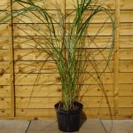 482b2ad3-e615-4444-87ab-b7eee5348460