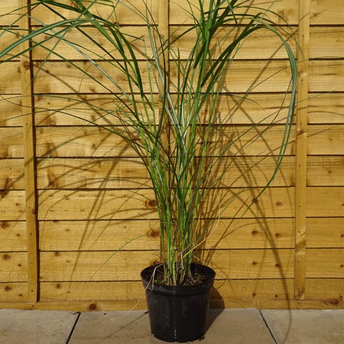 482b2ad3-e615-4444-87ab-b7eee5348460