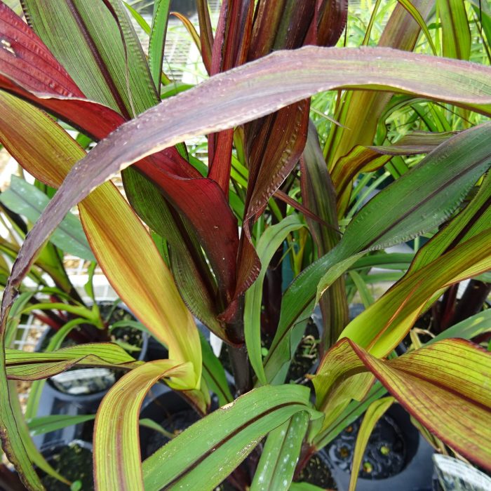 8d196669-ddf2-4482-83da-9057c7150e48