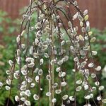 dbc04bc7-aa85-4821-a94a-005e09a4a39c