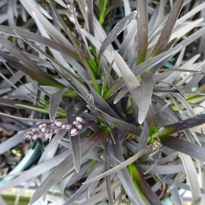 7170f6a9-530f-40f2-a945-bff7cb8d29bd