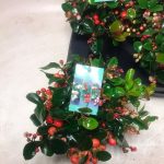 41667ad5-cf7f-4815-83c1-8be94ec7fc75